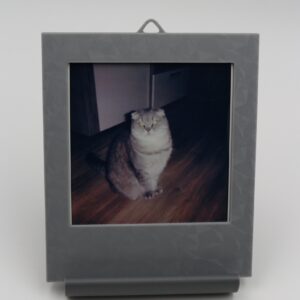 Рамка-игрушка Polaroid